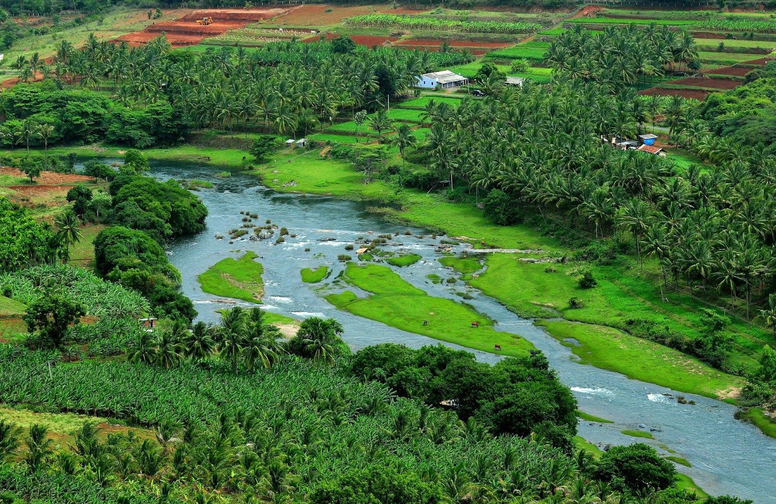 luxury farmland plots Kotagiri Coonoor Anaikatti